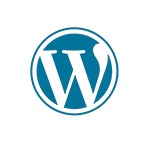Custom Software Development